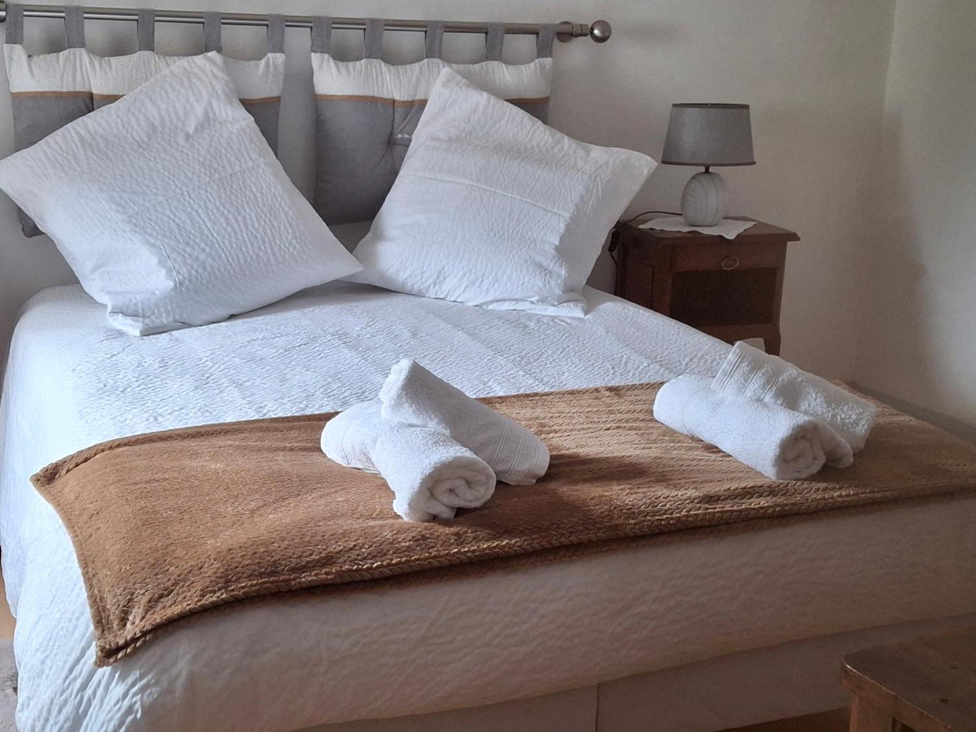 Escale Au Pied Du Chateau Amboise Extérieur photo