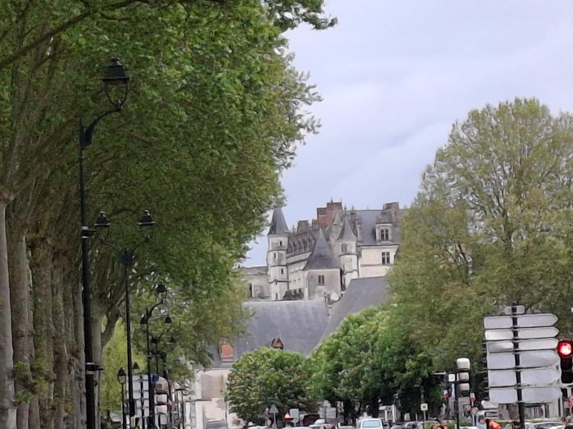 Escale Au Pied Du Chateau Amboise Extérieur photo